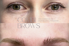 combi brows - 1